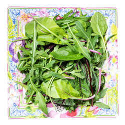 Similar image 20970234