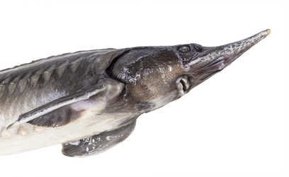 Similar image 20977419