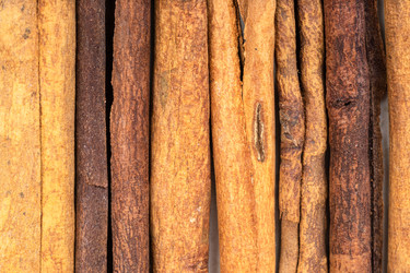 Similar image 21013048