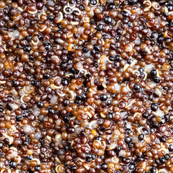 Similar image 21013193