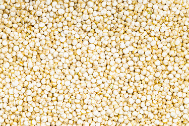 Similar image 21013513