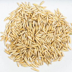 Similar image 20969258