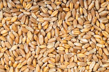 Similar image 20969996