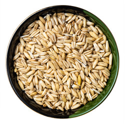 Similar image 20970302