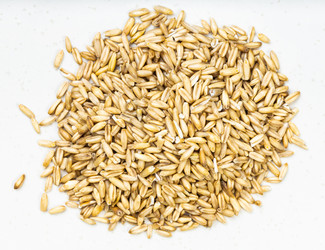 Similar image 20970303