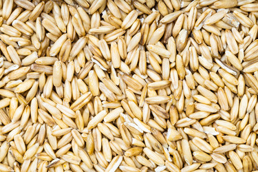 Similar image 20970366