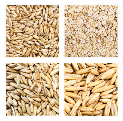 Similar image 20971004