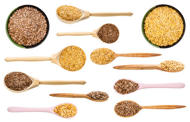 Similar image 20977439