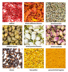 Similar image 20977440