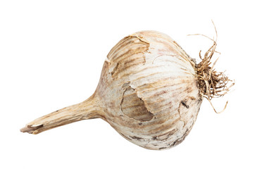 Similar image 20978203