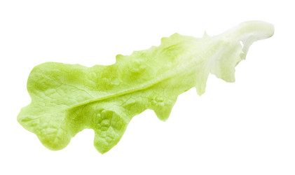 Similar image 21013058