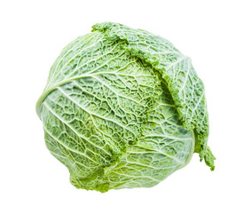 Similar image 21013204