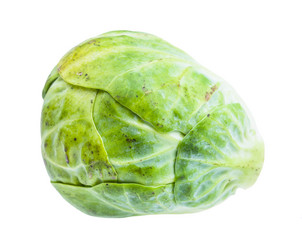 Similar image 21013298