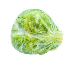 Similar image 21013299