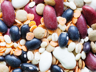 Similar image 21013578