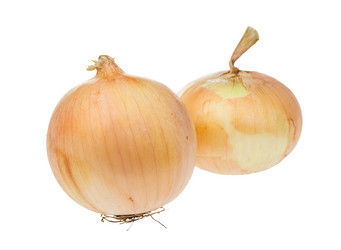 Similar image 20969578