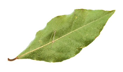 Similar image 20970024