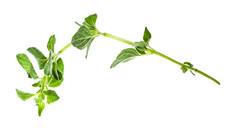 Similar image 20970031