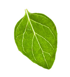 Similar image 20970032