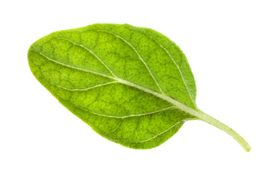 Similar image 20970245