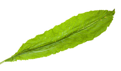 Similar image 20970373