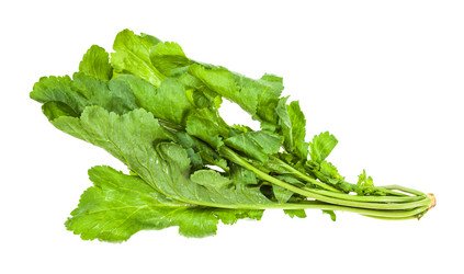 Similar image 20970610