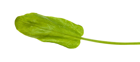 Similar image 20970615