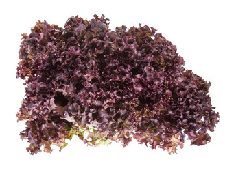 Similar image 20970628