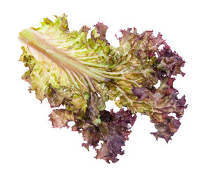 Similar image 20970630