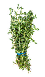 Similar image 20970634