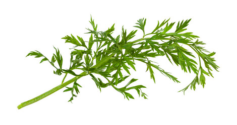 Similar image 20977448