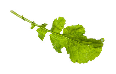 Similar image 20977735