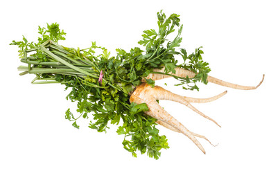 Similar image 20977738