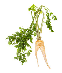 Similar image 20977739