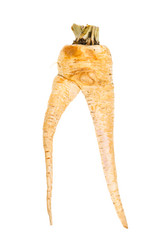 Similar image 20977740