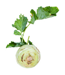 Similar image 20977963