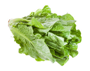 Similar image 20978225