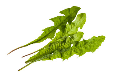 Similar image 21013212