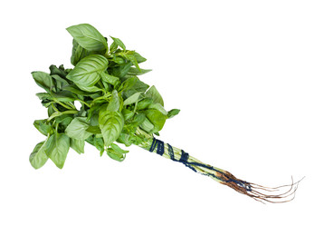 Similar image 21013216