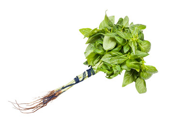 Similar image 21013217