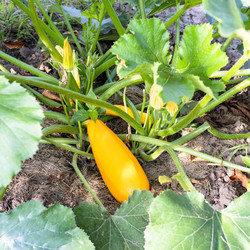 Similar image 20969783