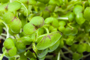 Similar image 20969237