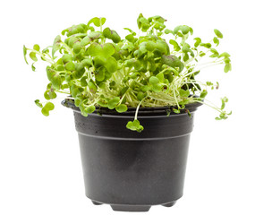 Similar image 20969280