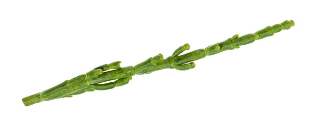 Similar image 20969331