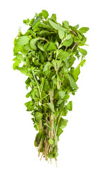 Similar image 20969379