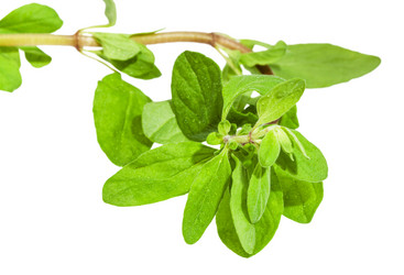 Similar image 20969380