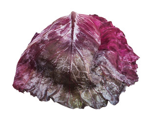 Similar image 20970388