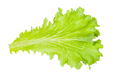 Similar image 20977481