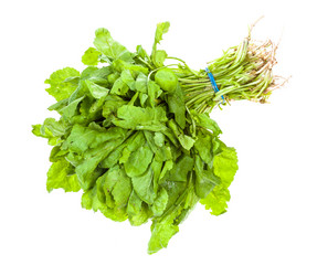 Similar image 20977768