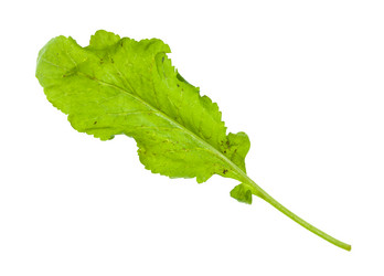 Similar image 20977769